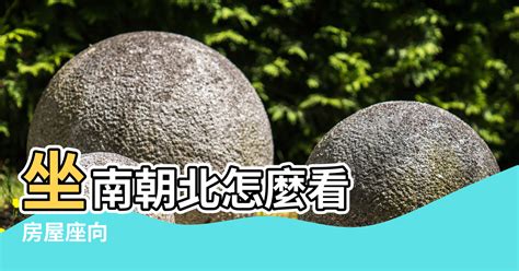 坐南朝北財位2023|【社區房子風水方向怎麼要】坐南朝北怎麼看 